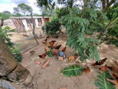 Foto Mariana Ferreira - Bahiater SDR (2).jpeg