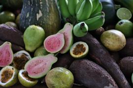 WhatsApp Image 2024-05-08 at 16.13.42.jpeg