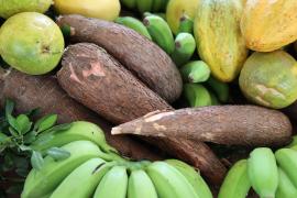 WhatsApp Image 2024-05-08 at 16.13.52 (3).jpeg