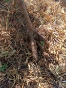 WhatsApp Image 2024-05-10 at 10.35.33 (1).jpeg