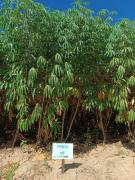 WhatsApp Image 2024-05-10 at 10.35.36 (2).jpeg