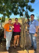 WhatsApp Image 2024-05-21 at 16.52.02.jpeg