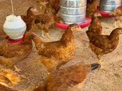 WhatsApp Image 2024-05-21 at 16.57.31 (2).jpeg