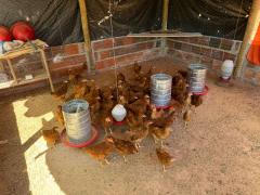 WhatsApp Image 2024-05-21 at 16.57.31 (5).jpeg