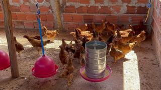 WhatsApp Image 2024-05-21 at 16.57.35 (1).jpeg