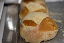 WhatsApp Image 2024-06-19 at 11.10.28.jpeg