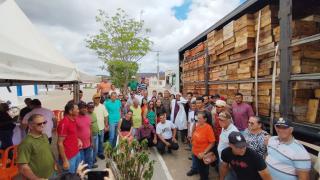 Foto Marta Medeiros (9).jpeg