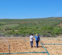 WhatsApp Image 2024-11-01 at 15.12.00 (2).jpeg