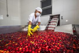 Ser do Sertão_-3.jpg