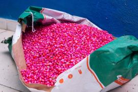 WhatsApp Image 2025-01-27 at 14.14.49.jpeg