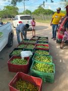 WhatsApp Image 2025-02-17 at 15.56.27 (1).jpeg