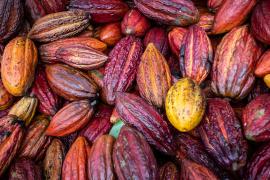 WhatsApp Image 2025-03-26 at 16.34.57.jpeg