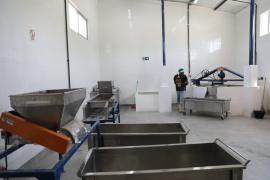 WhatsApp Image 2025-04-28 at 17.10.29 (1).jpeg