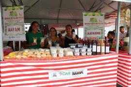 WhatsApp Image 2025-05-03 at 17.38.44.jpeg