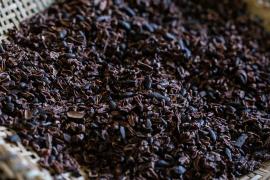 WhatsApp Image 2019-04-24 at 17.22.24.jpeg