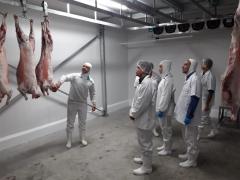 Intercâmbio (19).jpeg