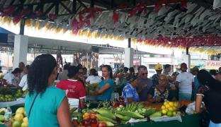 WhatsApp Image 2019-06-12 at 17.19.38.jpeg