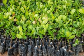 WhatsApp Image 2019-06-17 at 15.19.09.jpeg