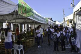 Feirafes-5.jpg