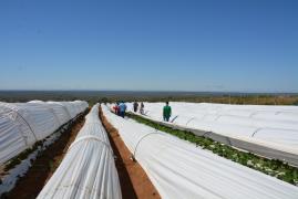 WhatsApp Image 2019-07-06 at 20.37.40.jpeg