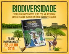 WhatsApp Image 2019-07-19 at 17.33.41.jpeg