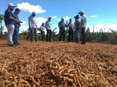 WhatsApp Image 2019-07-26 at 17.31.08.jpeg