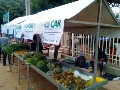 WhatsApp Image 2019-07-28 at 11.30.58.jpeg