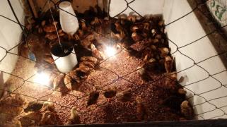 WhatsApp Image 2019-07-30 at 15.13.05.jpeg