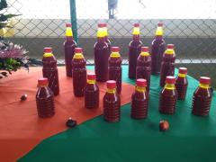 02 IGIgrapiuna - Copia.jpeg