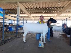 WhatsApp Image 2019-08-14 at 14.59.43 (4).jpeg