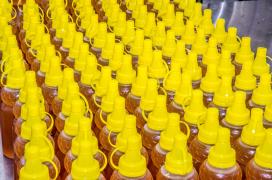 WhatsApp Image 2019-09-24 at 18.40.20.jpeg