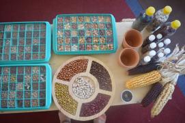 WhatsApp Image 2019-11-29 at 18.26.16 (2).jpeg