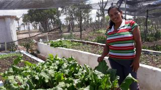 WhatsApp Image 2020-01-21 at 17.29.45.jpeg