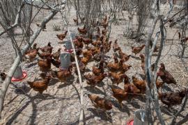 WhatsApp Image 2020-02-07 at 14.43.34.jpeg