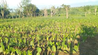 WhatsApp Image 2020-02-17 at 17.00.14 (3).jpeg