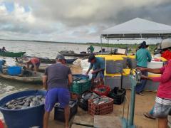 WhatsApp Image 2020-04-07 at 12.07.50 (1).jpeg