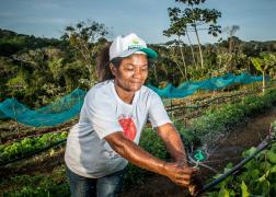 WhatsApp Image 2020-05-15 at 10.06.01.jpeg