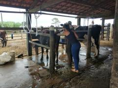 WhatsApp Image 2020-06-19 at 18.03.26 (3).jpeg