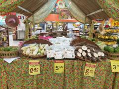 WhatsApp Image 2020-06-24 at 14.20.26 (1).jpeg