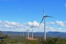 Conjunto Eólico Campo Largo_foto Luciana Bispo.JPG