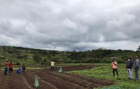 WhatsApp Image 2020-09-04 at 18.05.29.jpeg