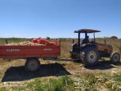 WhatsApp Image 2020-09-11 at 14.11.33.jpeg