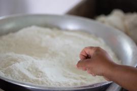 Mandioca - Foto - André Fofano3.jpg