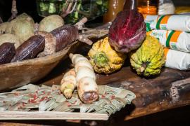 WhatsApp Image 2020-10-02 at 16.17.09.jpeg