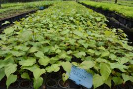 WhatsApp Image 2020-10-09 at 16.36.53 (3).jpeg