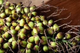 WhatsApp Image 2020-10-27 at 09.39.43.jpeg