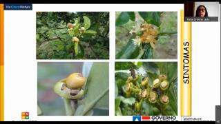 WhatsApp Image 2020-10-29 at 18.55.20.jpeg