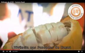 WhatsApp Image 2020-11-26 at 16.41.42.jpeg