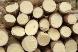 WhatsApp Image 2020-12-18 at 19.02.57.jpeg