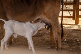 WhatsApp Image 2021-01-26 at 17.52.17.jpeg